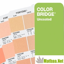 pantone Spot Renk Katalogu